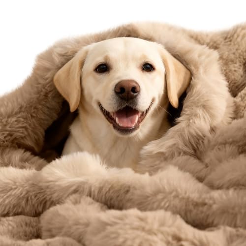 SOMAHE Dog Blanket Self-Warming 39x30 Coffee