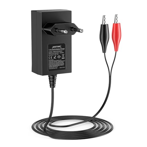Batterie LiFePO4 6V 6Ah de rechange avec chargeur et BMS pour cyclage profond - 3