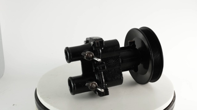 marine Amazon.com: AULINK Raw Sea Impeller Water Pump 8M0139995 for