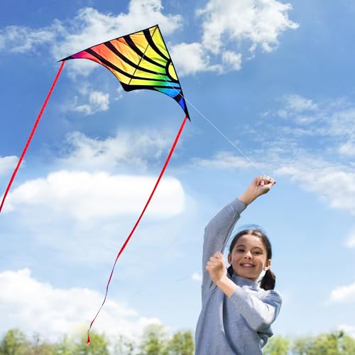 Xida Kite Large Delta Kites for Beginners & Adults, Wonderful Beginner Kite Suitable for All Ages,Easy Flyer Single Line Kite. Beach Kite for Outdoor Games and Activities