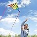 Xida Kites for Adults and Kids, Easy to Fly Delta Kites for Beach, Beginner Kite for Kids Ages 4-8, 8-12, Lightweight Rainbow Kite Set for Beach Trip and Family Activities