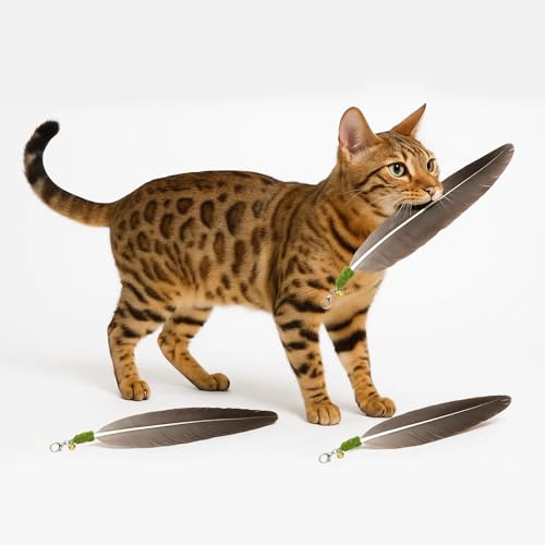 GHOSTCAT 猫じゃらし交換用 天然な羽根 ねこじゃらし ガチョウの羽根 羽根のおもちゃ 猫のおもちゃ 鈴付き ネコジャラシ 猫 おもちゃ 頑丈 天然の素材 無毒 切替え簡単 一人遊び 運動不足・ストレス解消 3本セット 原色