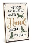 TypeStoff Holzschild mit Spruch – MEHR HUNDE – im Vintage-Look mit Zitat als Geschenk und Dekoration zum Thema Haustier und Hundenarr - HS-00397