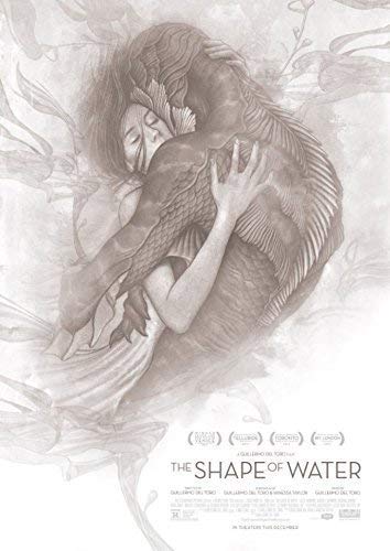 �f��|�X�^�[ �V�F�C�v�I�u�E�H�[�^�[ THE SHAPE OF WATER 2�i60x90)[���s�A���i]