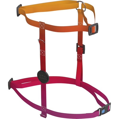 meuAuAu KIT H MEUMIAU CITRUS, MULTICOLORIDO, TAMANHO ÚNICO