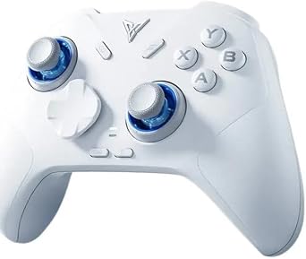Flydigi Direwolf 4