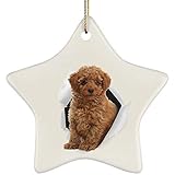 El regalo perfecto: Tanto si buscas una decoración navideña especial como si buscas un intercambio de regalos significativo, nuestro adorno colgante de Navidad es la elección perfecta. Es un regalo considerado y memorable para amigos y familiares