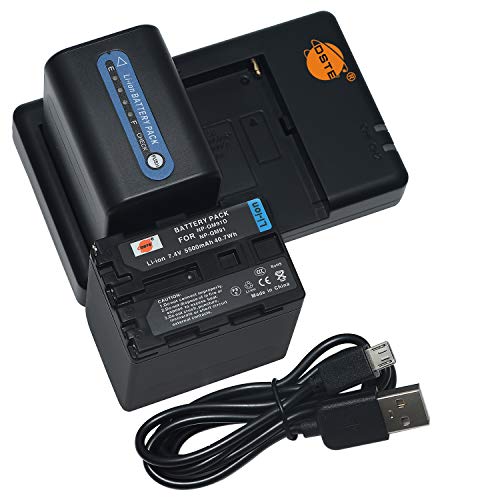 Cargador dual con baterías NP-QM91D para cámaras Sony TRV318 y TRV328