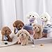 ANBOOR 6pcs 12cm Hunde-Plüschtiere, süßes Hundewelpen-Plüschtier mit Schal, Duftende Teddys, kleine Plüschtiere mit Schlüsselanhänger, weiches Plüsch-Hundespielzeug (braun, weiß, Hellbraun)