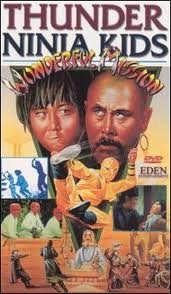 DVD Thunder Ninja Kids: Wonderful Mission Book