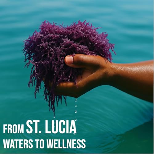 Purple Irish Sea Moss | Wildcrafted from St. Lucia | 8oz Makes ~120+ oz Sea Moss Gel | 100% Natural, Raw & Sun-Dried | Dr. Sebi Inspired, Nutrient-Rich Irish Moss for Health & Wellness