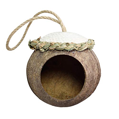 Nichoir en noix de coco naturel grand modèle pour oiseaux extérieur