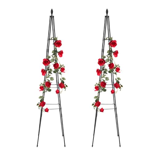 Susoso Arco para rosas, 4 niveles, soporte para plantas, torre de jaula, diseño abierto, diseño ajustable, fácil instalación, altura 170 cm, para jardines, color negro