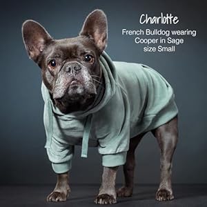 Organic Cotton Velour Dog Hoodie Pet Coat for Small Medium and Large Dogs Sage XX Small