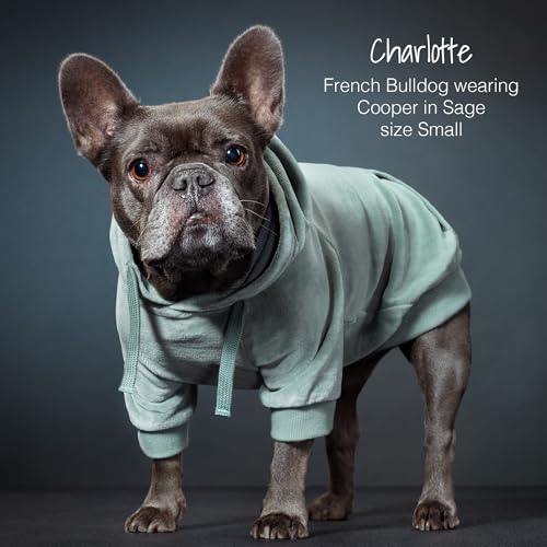 Organic-Cotton-Velour-Dog-Hoodie-Pet-Coat-for-Small-Medium-and-Large-Dogs-Sage-XX-Small Organic Cotton Velour Dog Hoodie Pet Coat for Small Medium and Large Dogs Sage XX Small
