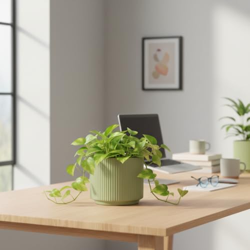 Image of Xtore Verdantique Ceramic Ribbed Planter | Soft-Tone Desk & Shelf Plant Pot for Home and Office - (Green, 1 Piece, Planter ONLY)