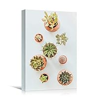 Canvas Wall Art Succulent Arrangements Bouquet Expressive Floral Multicolor Photography Romantics - 12x18 inches