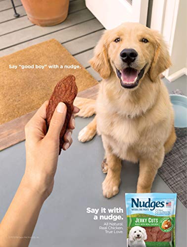 Nudges Health And Wellness Chicken Jerky Dog Treats, 3 Oz #TOP6