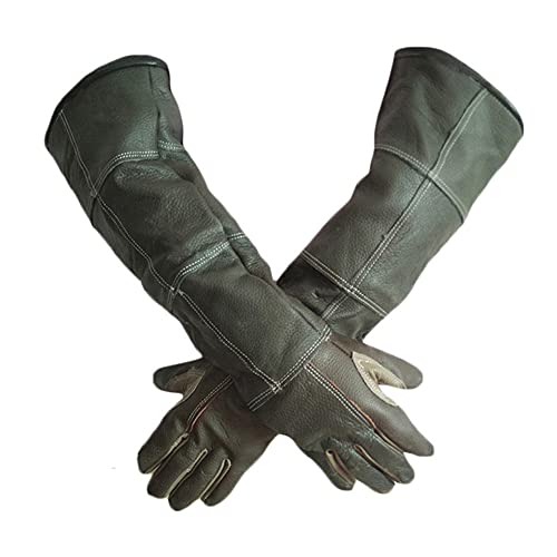 Dan Animal Handling Gloves For Cat Dog Bird Snake Parrot Lizard,Anti-Bite/Scratch Gardening Wild Animals Protection Gloves #TOP5