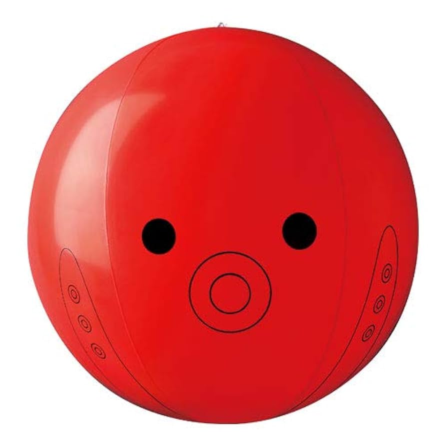 ビーチボール 原神 79cm 3面印刷