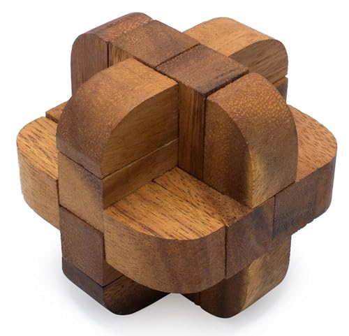 Neutron: Wooden Puzzle Adults Games Gifts 3D Brain Teasers of The Logic Games for Kids and Teen to Challenge Puzzles for Fun Entertaining Things and Educational Tools of Parents
