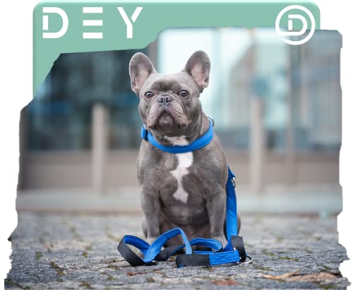 DEY - Premium Hundehalsband Air Mesh | Verstellbar | für Kleine, Mittelgroße u. Große Hunde | viele Farben u. Größen | Halsband Hund Katzen | Hunde-Halsbänder | Welpen-Halsband | Orange, S