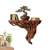 Estantería Flotante Exhibidor Almacenaje Raíz Árbol