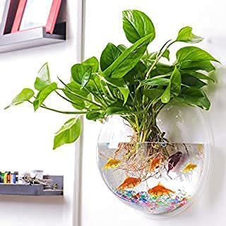 Wall Hanging Fish Bowl 8 inch Standard Size with Free Stones (B0BK54KB49) Amazon Price History, Amazon Price Tracker