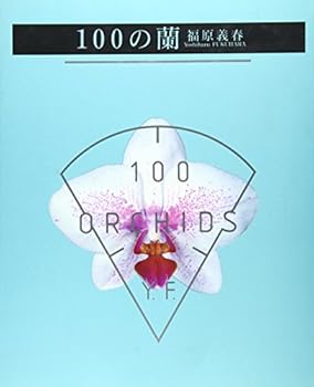 JP Oversized 100?? Book