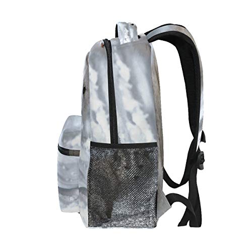 School Backpack Arctic Fox Teens Girls Boys Schoolbag #TOP3
