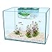 Penn-Plax AN2 Aqua Nursery and Hatchery Breeding Box for Your Aquarium - Help Protect Baby Fish from Predators