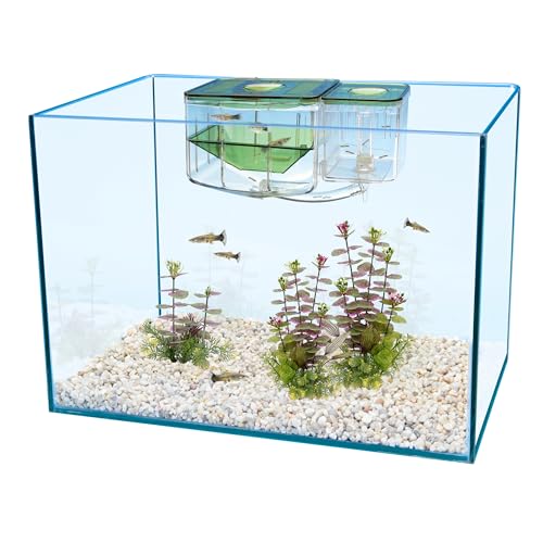 Penn-Plax AN2 Aqua Nursery and Hatchery Breeding Box for Your Aquarium - Help Protect Baby Fish from Predators
