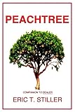 peachtree nova  Peachtree