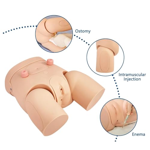 Katheterisatie klysma oefenpop model, PVC onderwijs simulator met afneembare onderdelen voor realistische urethra katheterisatie training - Afbeelding 5