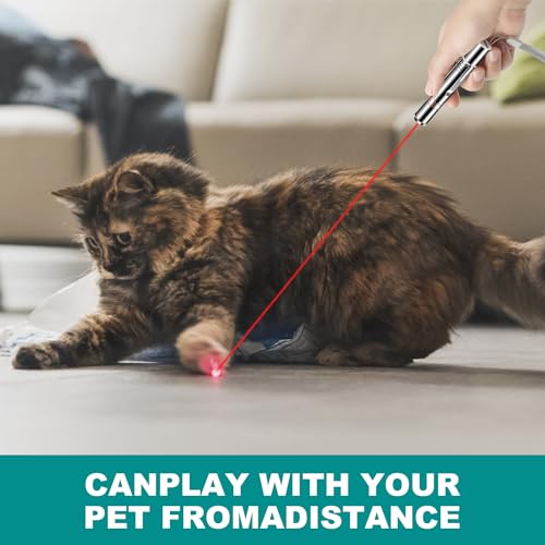 Cowjag Laser Pointer, Cat Birds Toy Pointer for Indoor, Cat Mouse Toys Wand Light Pet Interactive Toys to Keep Cat Busy, for Kitten Cat Dog Chase Play - Thumbnail 7