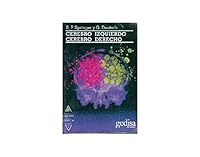 Cerebro izquierdo, cerebro derecho 8474321891 Book Cover
