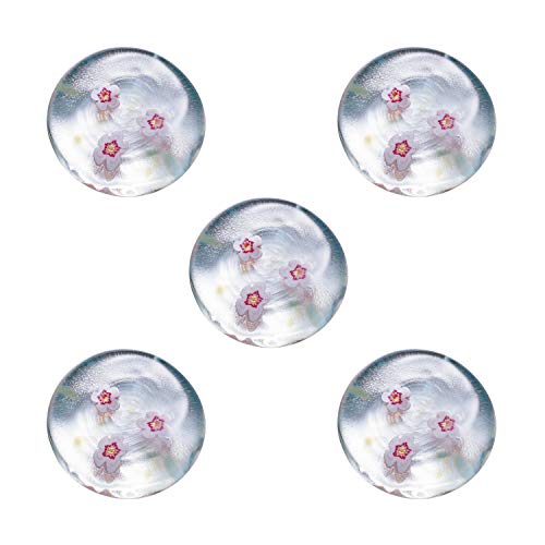 AfA(ADERIA) Ìyтǂ t̂炦 u ~ 5 {   KX Mtg  ̓ ̓ vw j zj  A v` ސE v[g a 蕨 F62185