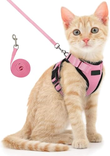 cat harnesses