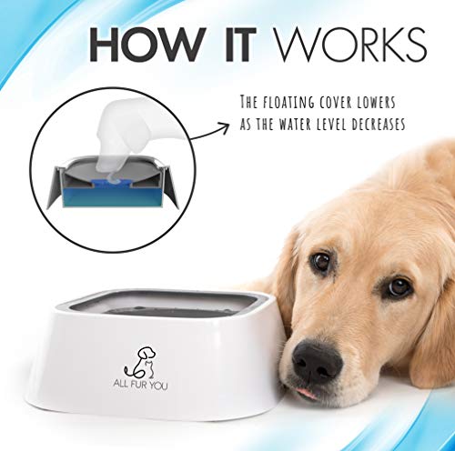 All Fur You Dog Water Bowl Splash Proof Anti Spill Slow Feeder Dish Cat Water Bowl No Slip Dispenser 35Oz (1L) Drinking For Dogs Cats In Car Crate Safe Portable Pet Bowl Travel Dog Bowls Small Non Tip #TOP2