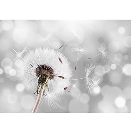 Runa Art Fototapete Pusteblumen 352 x 250 cm Vlies Tapeten XXL Moderne...