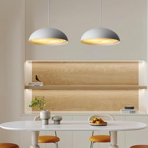 Lampe suspendue chevet gain de place hauteur réglable dôme moderne