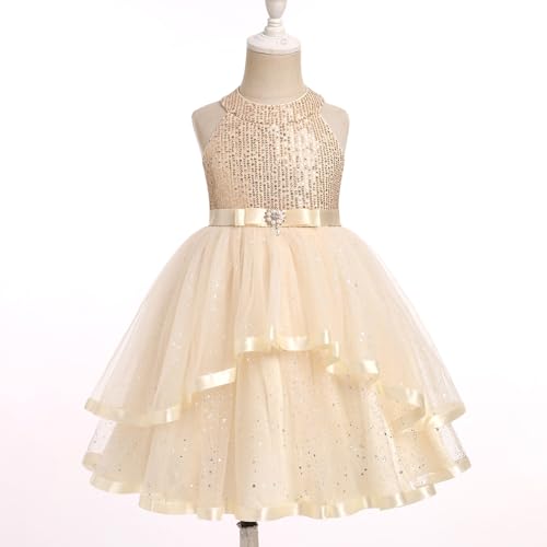 OBEEII Toddler Girls Pageant Dress Princess Sequin Tulle Tutu Dress Birthday Party Photoshoot Dress Glitter Flower Girl Dress2