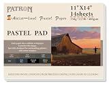 (14 Sheets) PATRON Pastel Paper Pad for Artists, Assorted Colors, 11x14 inches, (215lb/400gsm) 14 Sheets, Art...