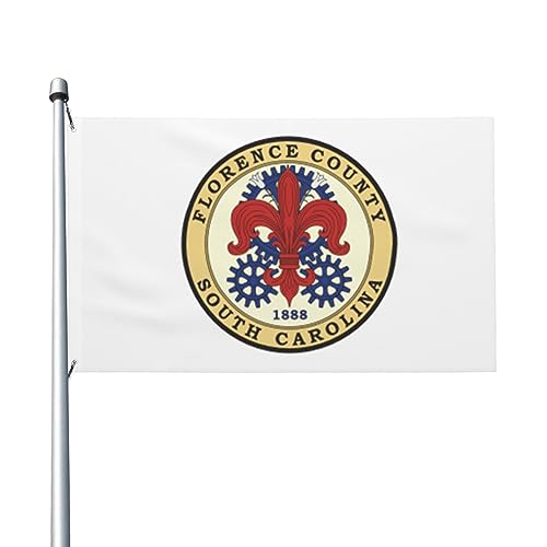 Bandiera della contea di Firenze con sigillo sc, 9,5 x 1,5 m, bandiere a doppia faccia, resistenti decorazioni per esterni, bandiere per feste in casa bandiera di benvenuto