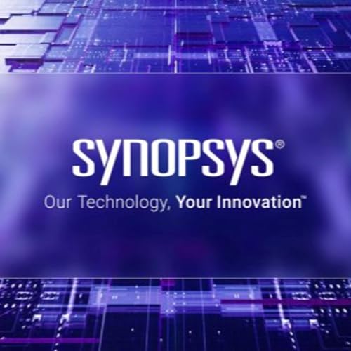 『Synopsys: Calo eccessivo?』のカバーアート