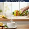 Iberia 100% Lemon Juice from Concentrate, 32 fl oz