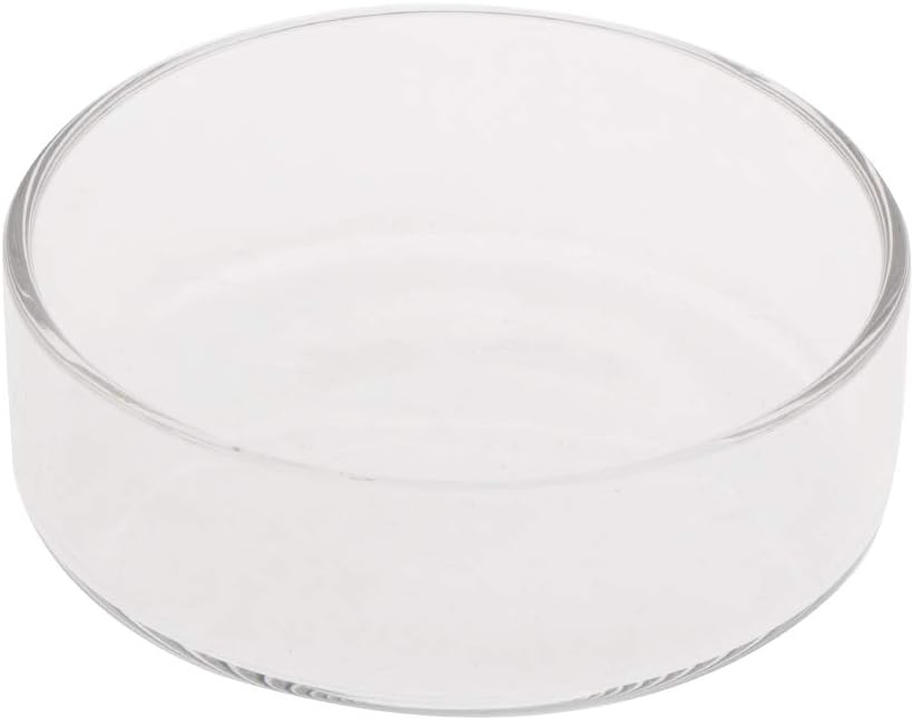 Fish Tank Feeding Bowl Dish Tray Feeder Aquarium Shrimp Glass - A