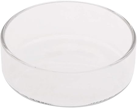 Fish Tank Feeding Bowl Dish Tray Feeder Aquarium Shrimp Glass - A