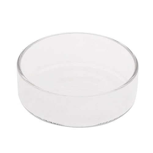 Buwei Alimentador de pecera Acuario Camarones de Vidrio Alimentación Bowl Bandeja de Plato 6 Tamaño