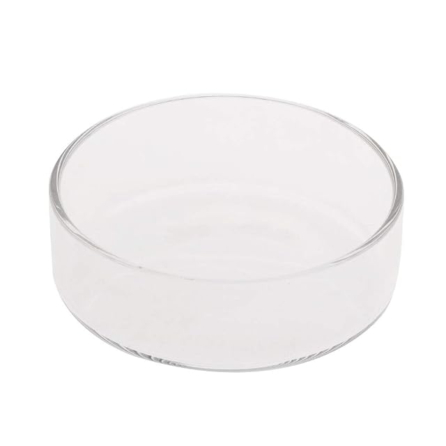 Buwei Alimentador de pecera Acuario Camarones de Vidrio Alimentación Bowl Bandeja de Plato 6 Tamaño